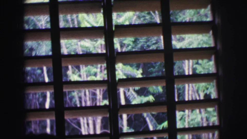 1967 Brazil home-movie frame showing shadowed window bars and slats with a bright, leafy exterior view beyond.