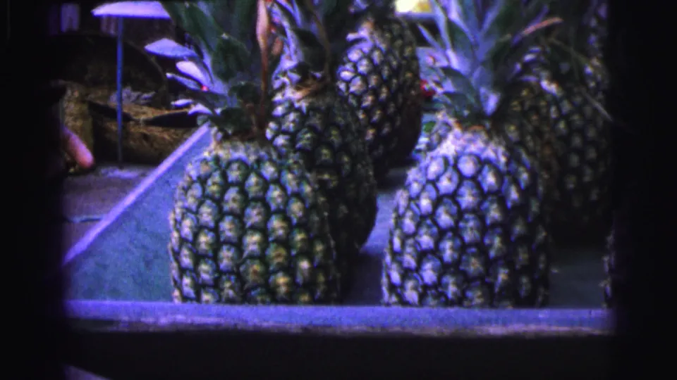 1967 Brazil market frame with pineapples on a stall and a partially visible person in the shaded background.