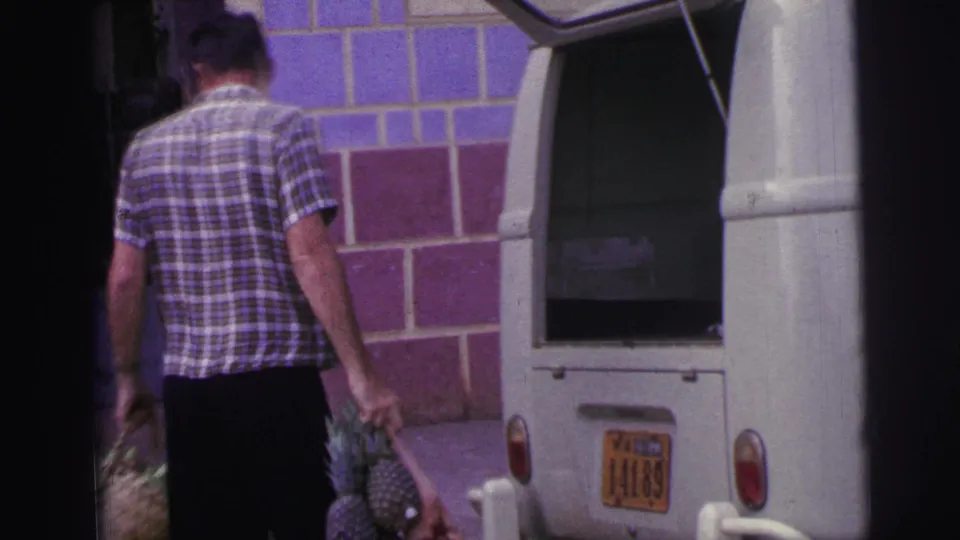 The man is seen from behind walking away from the open white van while carrying raw meat and a sack of pineapples.