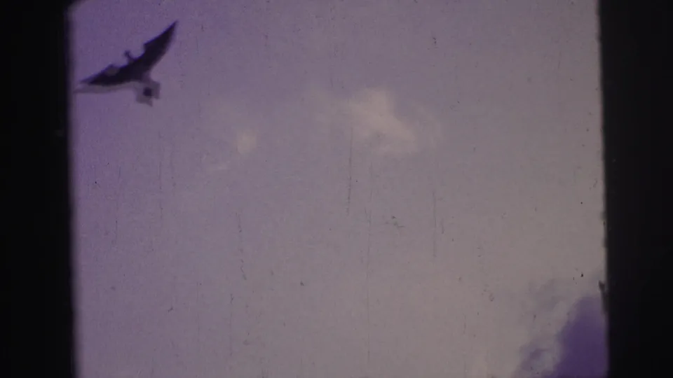 A bird-shaped kite flies against a pale purple sky in the 1967 Brazil beach home movie.