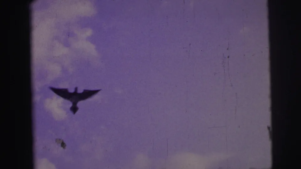 The bird-shaped kite is silhouetted near the center of a purple-tinted sky, with clouds and film marks visible.
