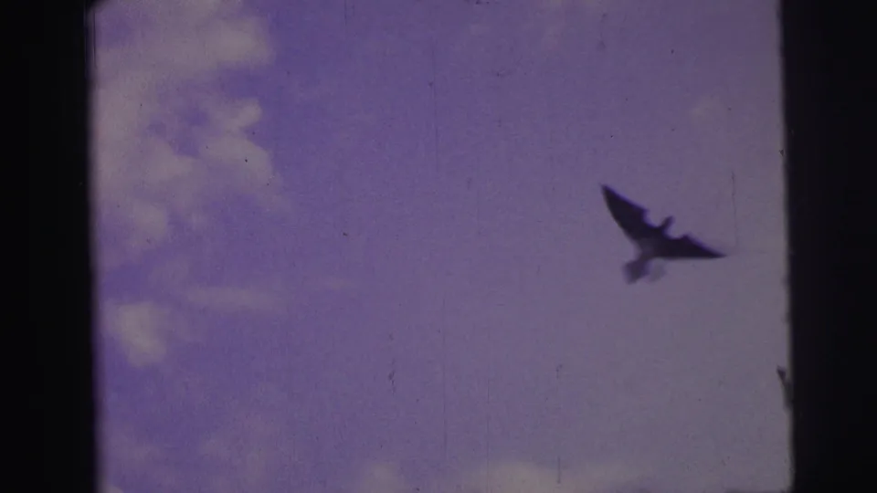 1967 Brazil 8mm frame showing a dark bird silhouette crossing a faded blue sky with clouds and visible film edges.