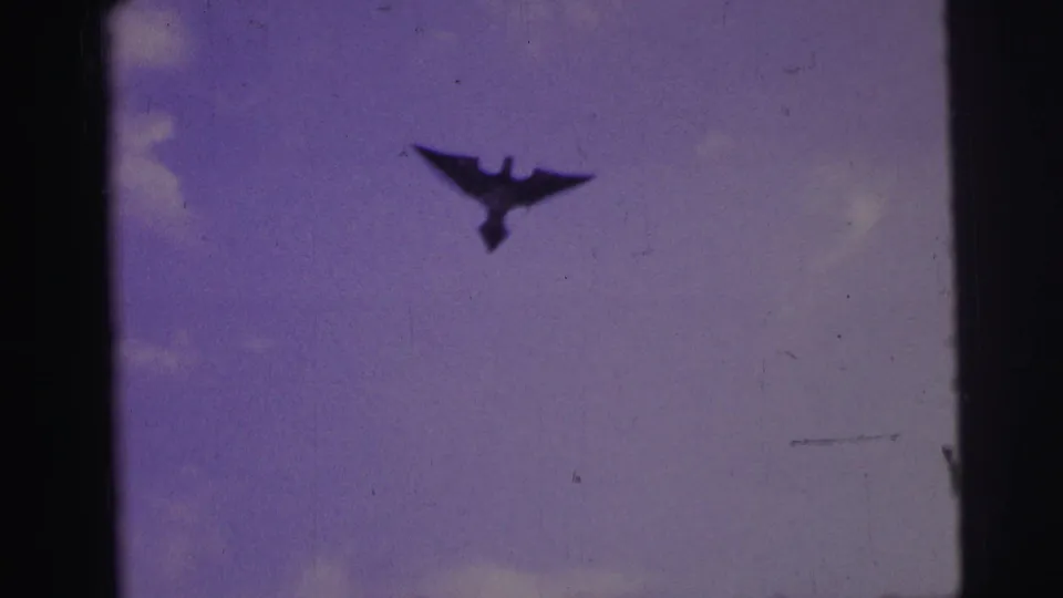 1967 Brazil 8mm still showing a dark bird with wings spread beneath faint clouds in a faded sky.
