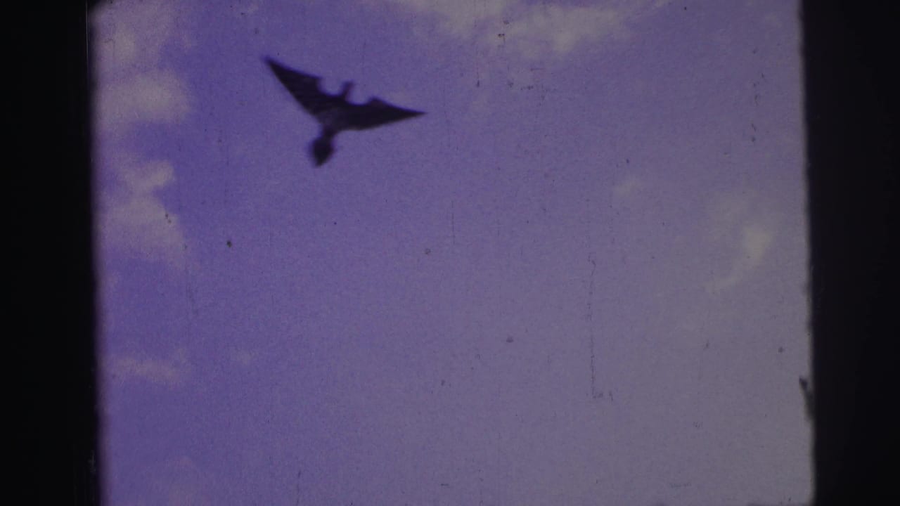 Dark bird-shaped kite silhouette against a purple sky with film borders.
