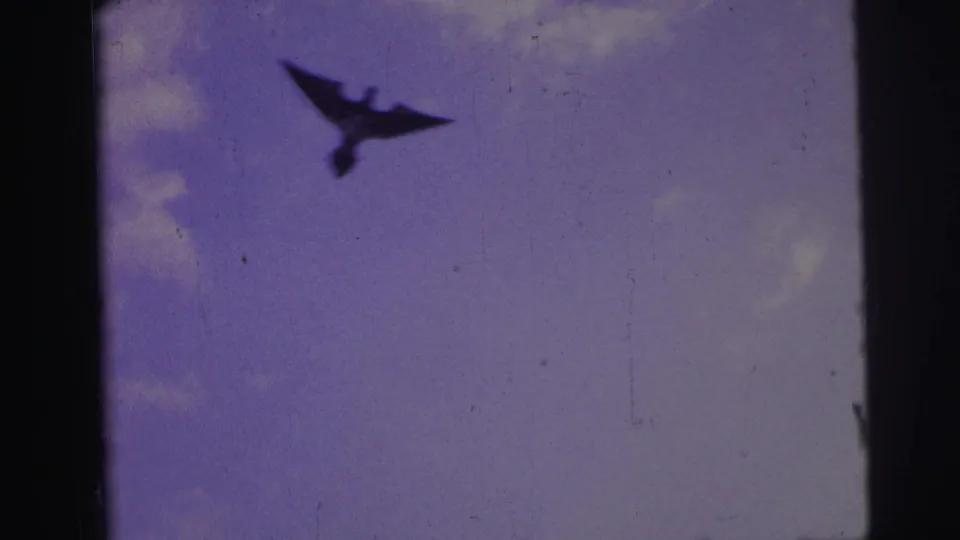 In 1967 Brazil home-movie footage, a bird-shaped kite appears as a dark silhouette against a purple-tinged sky.