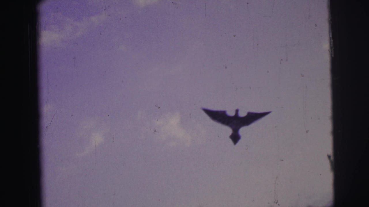 The bird-shaped kite crosses the purple sky in the 1967 Brazil beach home movie, framed by dark 8mm edges.