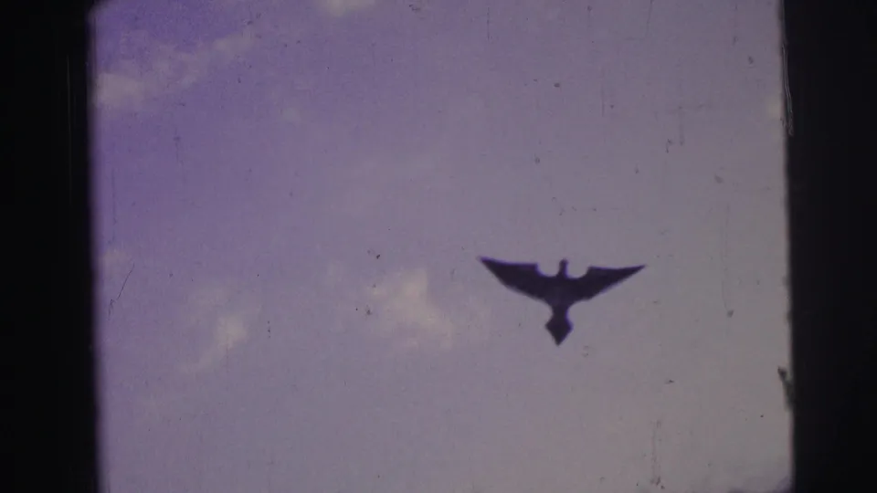 The bird-shaped kite crosses the purple sky in the 1967 Brazil beach home movie, framed by dark 8mm edges.