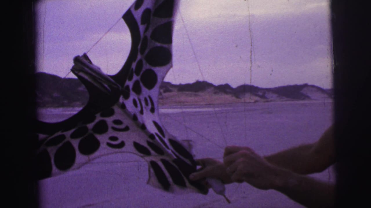 Shirtless man holds a spotted kite on a sandy beach with dunes behind it.