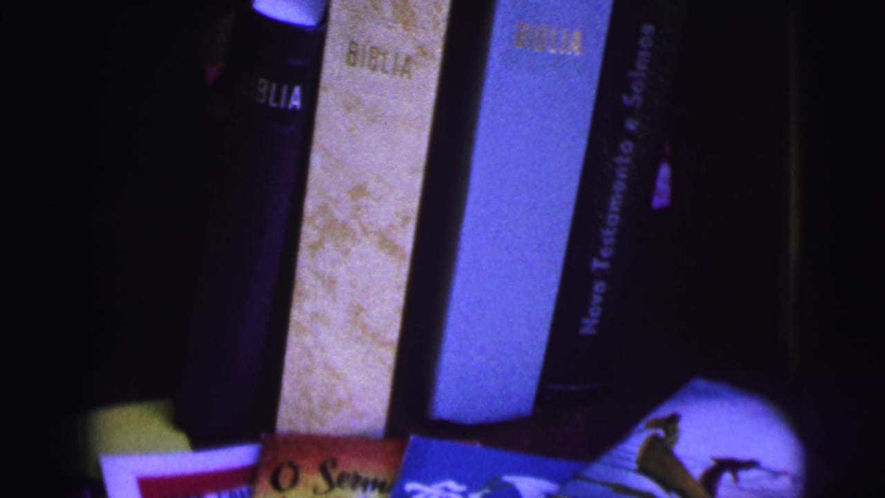 Close view of upright Bibles and colorful pamphlets arranged in front.