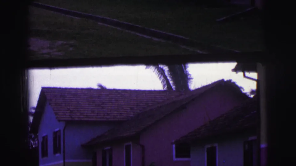 Pastel houses in Brazil appear behind dark foreground framing, with tiled roofs, shutters, and palm fronds visible above.