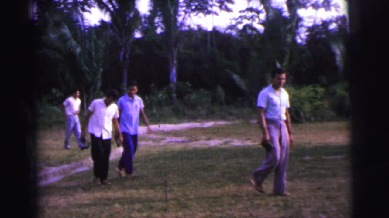 Several adult men walk across a grassy lawn bordered by trees and pale paths.