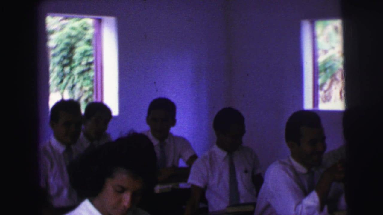 Students in white shirts sit in shadow at desks beside bright classroom windows.
