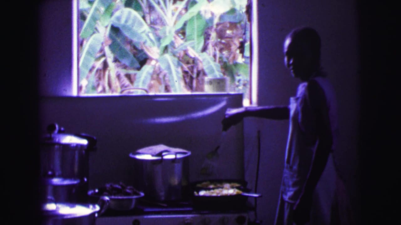 Woman in profile reaches toward a pan on a stovetop beside large pots and a bright window.