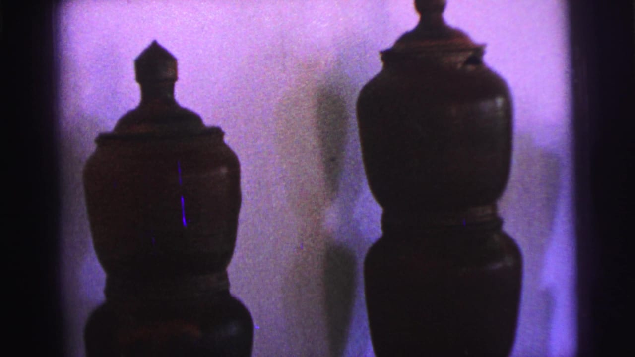 Two dark lidded vessel forms silhouetted against a purple-lit museum wall.