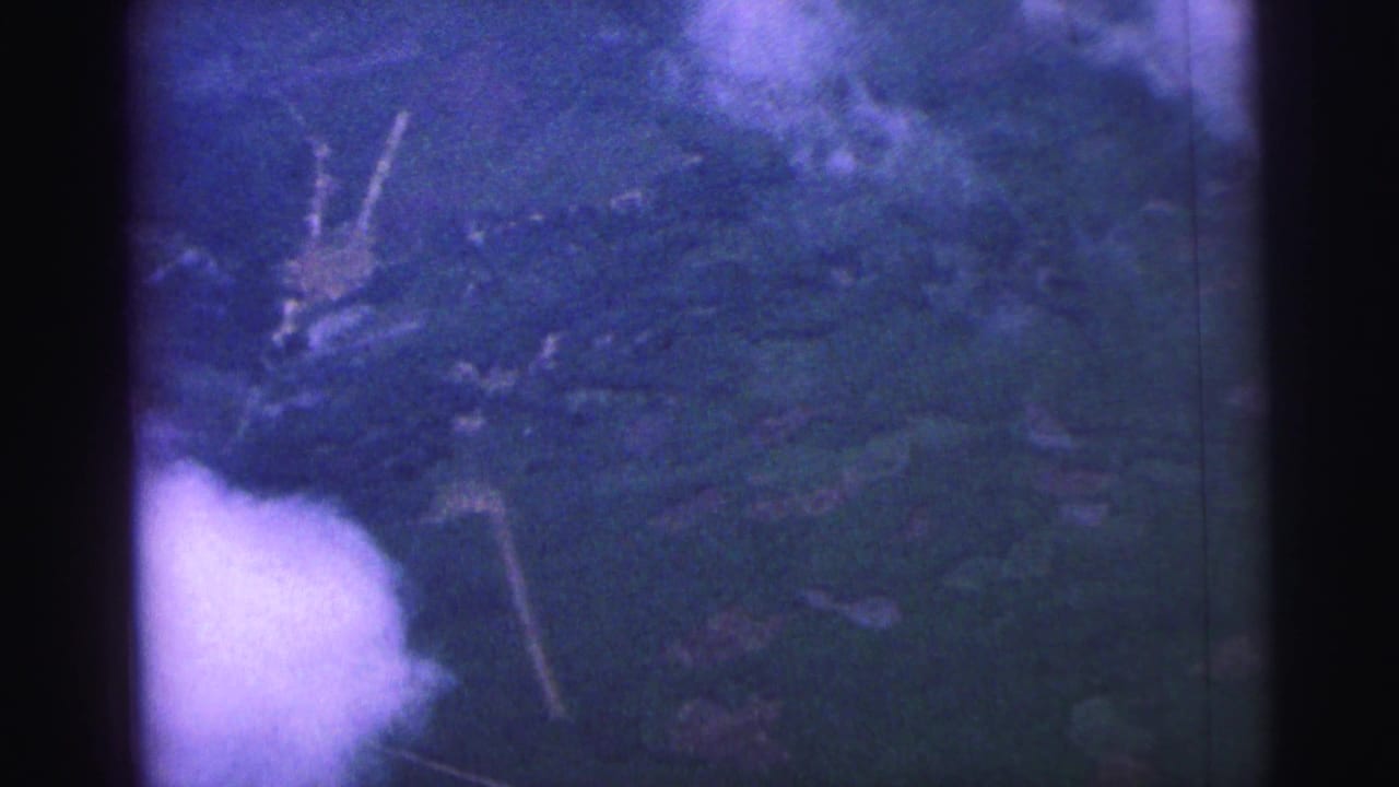 Overhead view of dark green landscape partly covered by bright cloud.