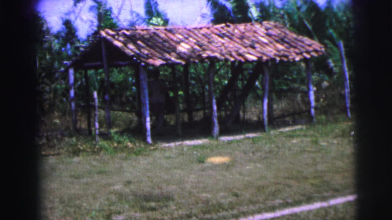 Open-sided tiled shelter standing in grass beside palm-like trees.