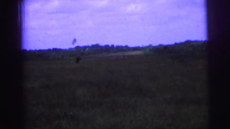 1967 Brazil rural frame showing a wide field, low trees, a pale ground strip, and saturated purple-blue sky on 8mm film.