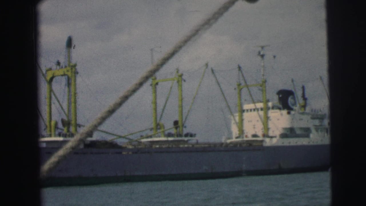 Large cargo ship with yellow cranes seen across harbor water behind a foreground rope.