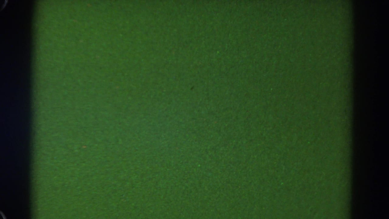 1967 Colorado 8mm frame showing a flat green field with dark film edges, fine grain, and scattered dust specks.
