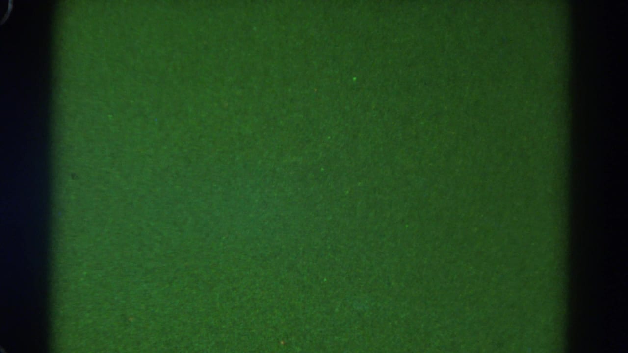Grainy green 8mm frame with vertical black bands, likely the train-window structure before the exterior view brightens.
