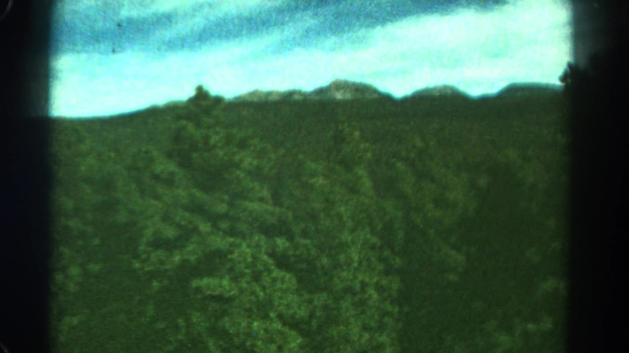 Dense green treetops and distant mountain ridge under a washed blue sky.