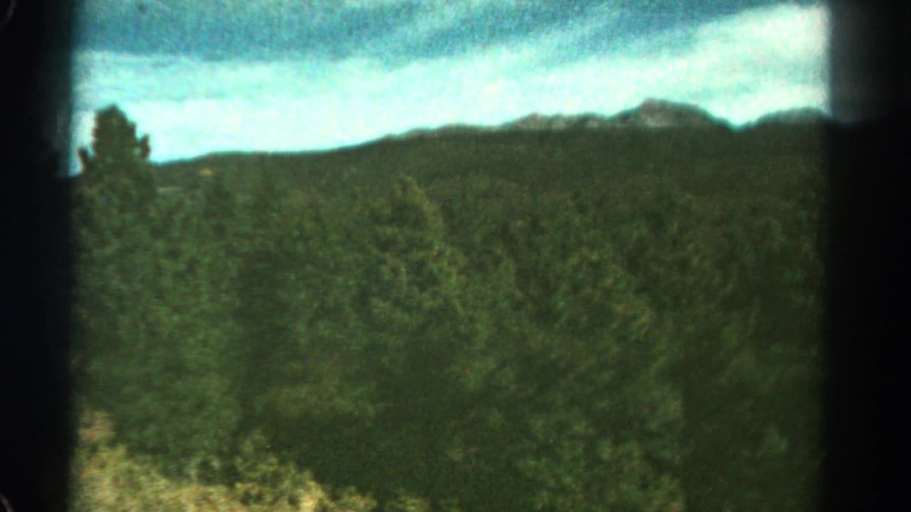 1967 Colorado 8mm view of tree-covered terrain and distant ridges, with a small tree silhouette near the horizon.