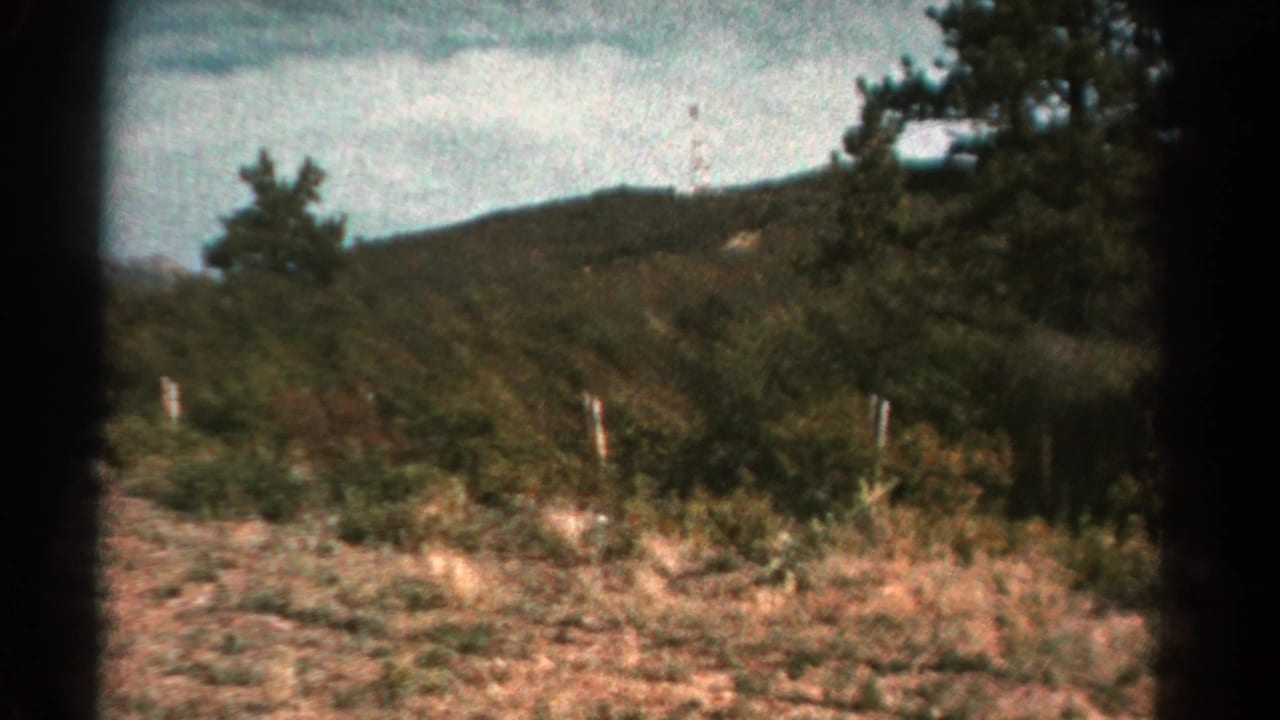 Wooded mountain slope behind grass and fence posts, with dark film gate edges.