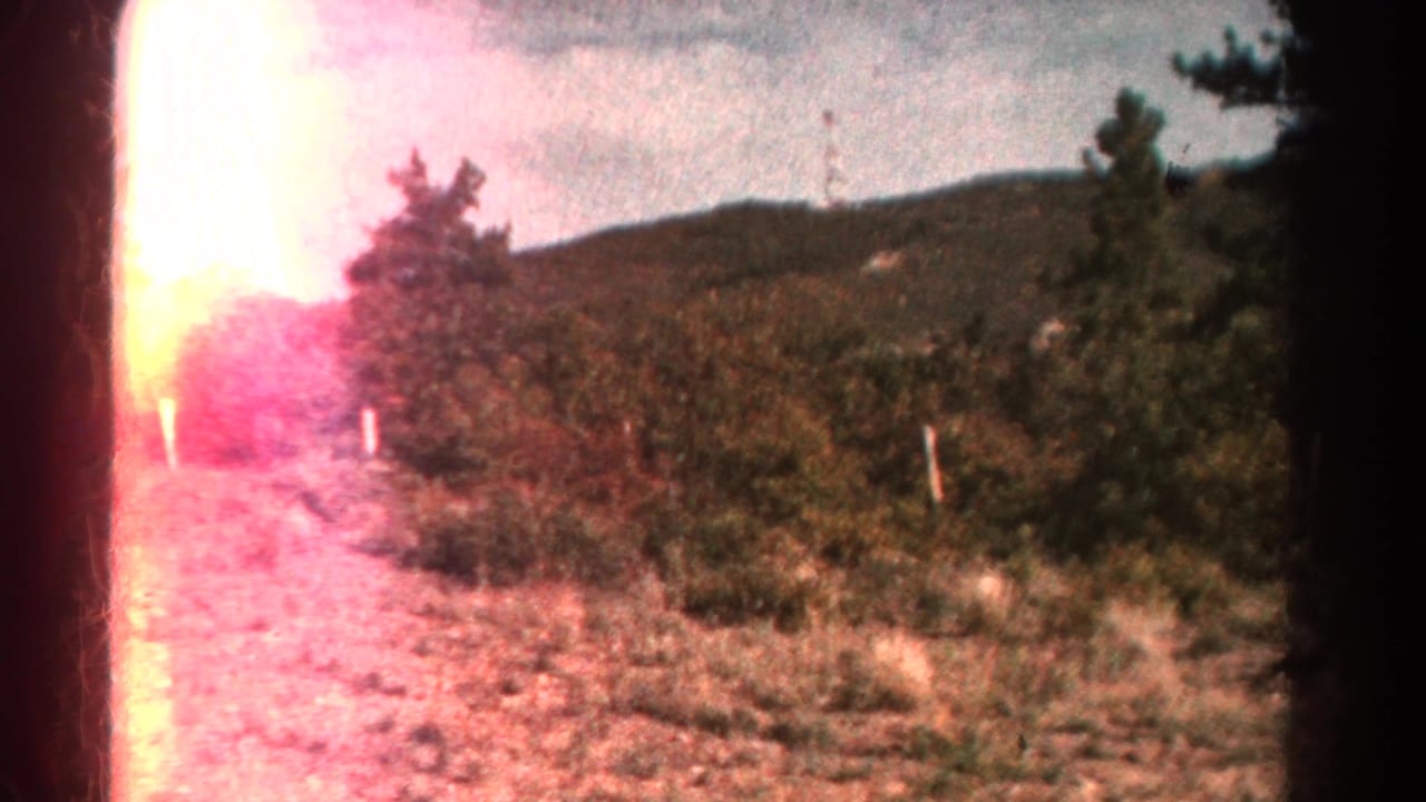 1967 Colorado home-movie frame with a dirt path, brush, fence posts, evergreen trees, and mountain ridges beyond pink exposure flare.