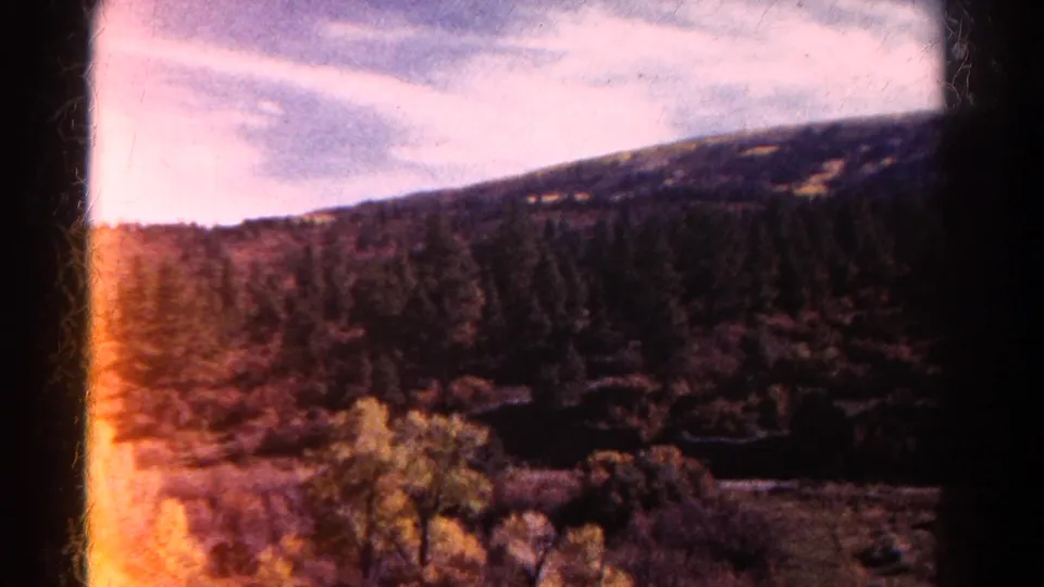 1967 Colorado home-movie frame looking across a dark evergreen mountain slope with foreground shrubs and a pale cloudy sky.