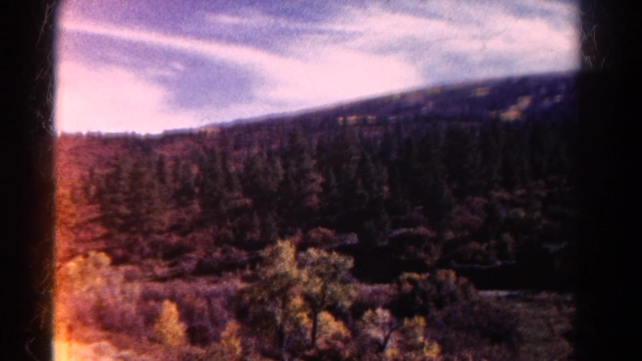 1967 Colorado 8mm frame showing a wooded mountain slope and pale sky from a moving road-trip viewpoint.