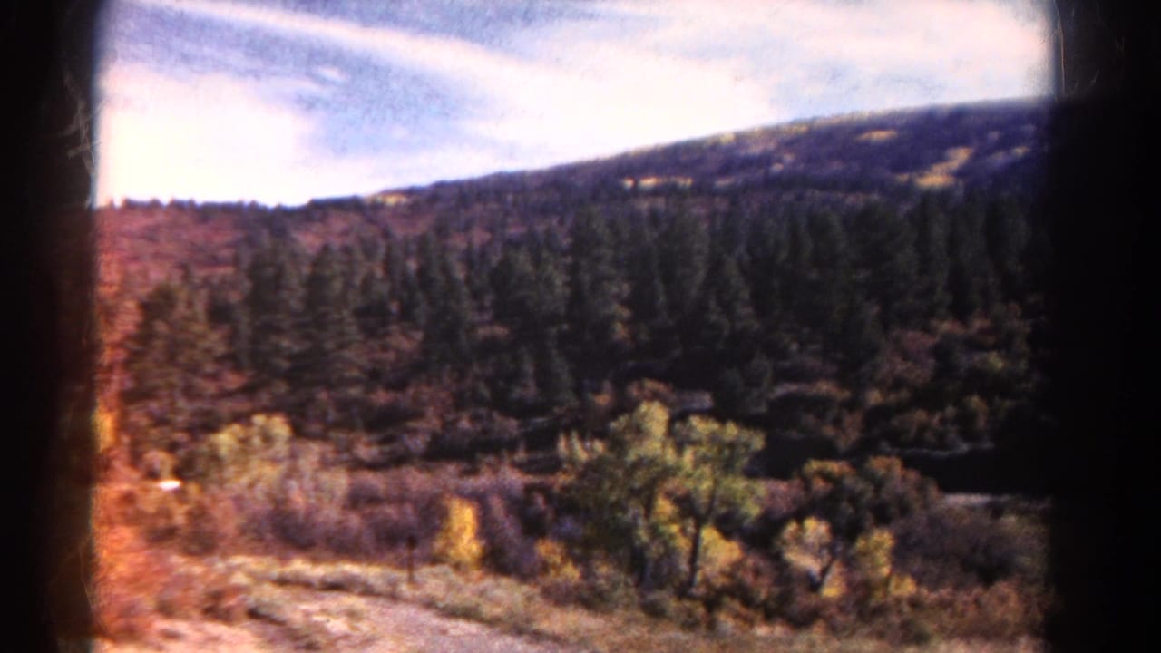 Mountain forest and brushy roadside terrain beneath a bright sky with wispy clouds.