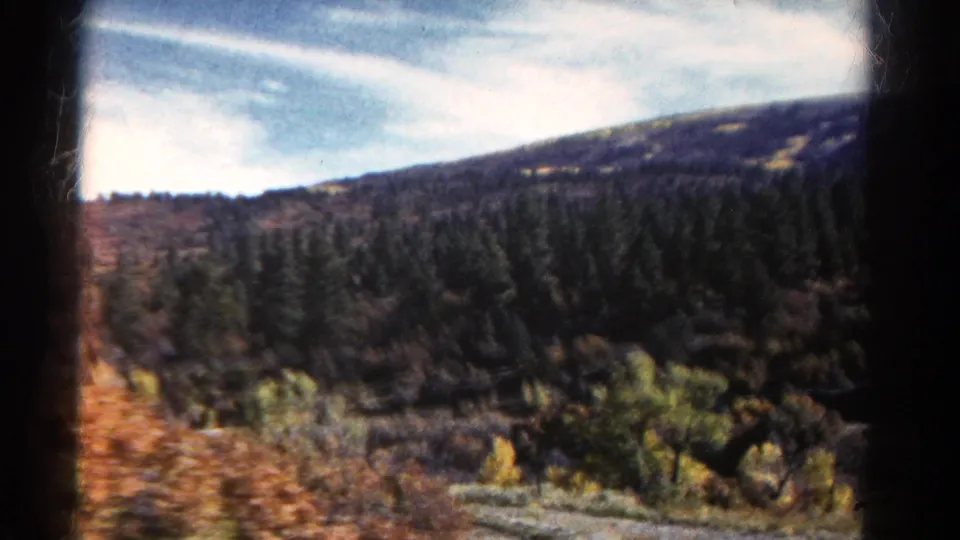 A Colorado mountain hillside appears in soft 8mm color, with trees, shrubs, and passing ground in the foreground.