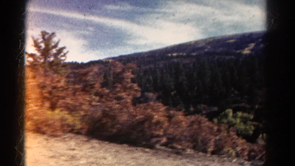 1967 Colorado road-trip frame with roadside vegetation, a forested mountain slope, and streaked clouds overhead.