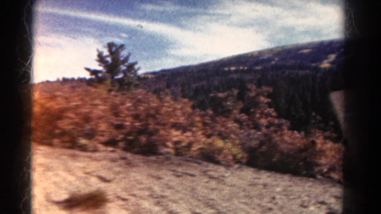 1967 Colorado 8mm frame of rocky roadside terrain with reddish brush, evergreens, a distant mountain slope, and visible film edges.