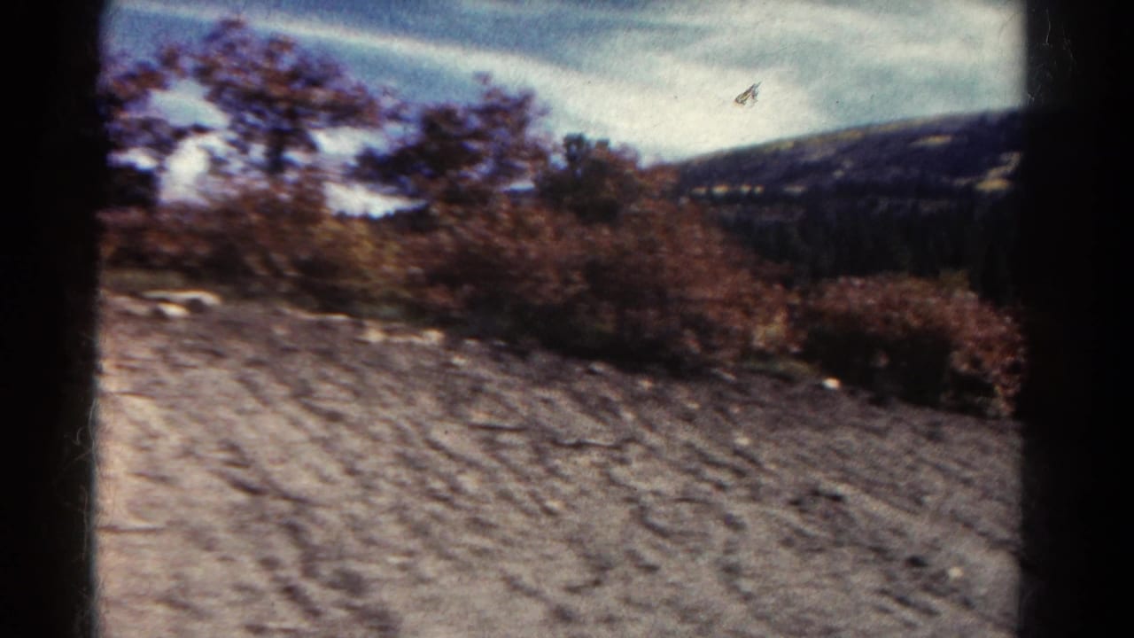 1967 Colorado roadside view from 8mm film, showing an unpaved road edge, low brush, trees, distant hillside, and soft motion blur.