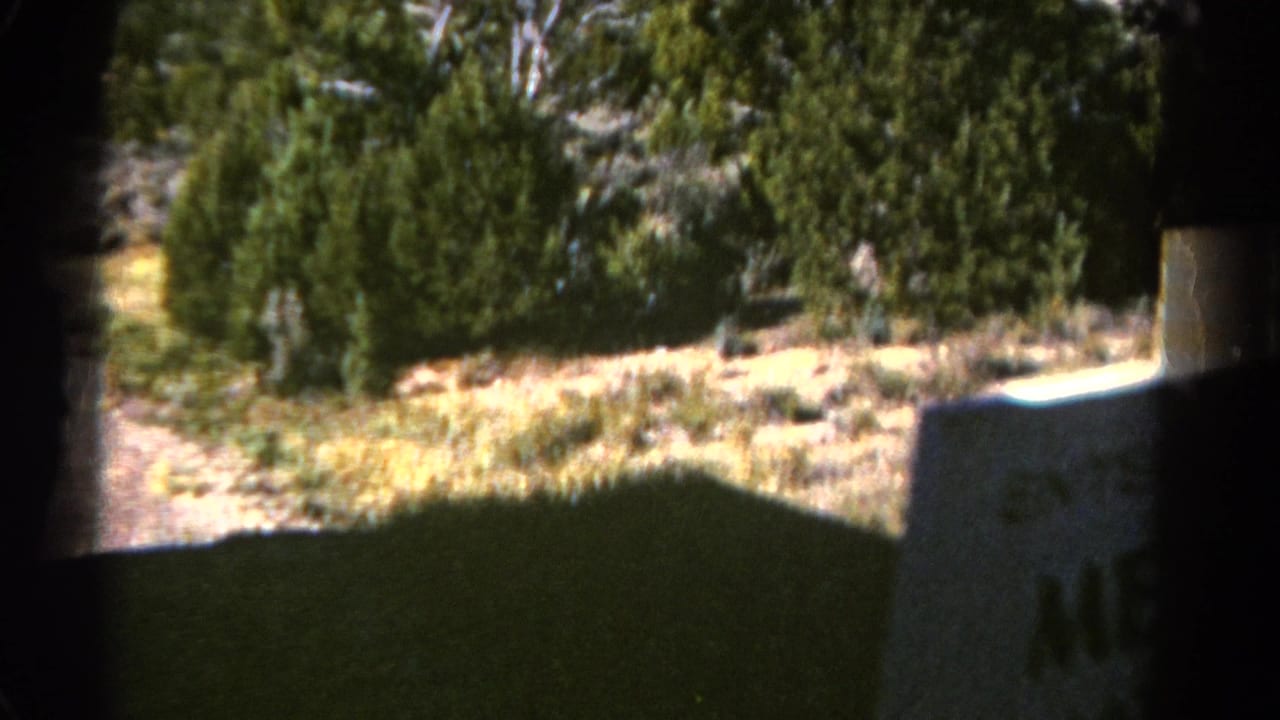 1967 Colorado 8mm frame showing a partial car-window view of roadside brush, evergreen trees, and a post in dry terrain.