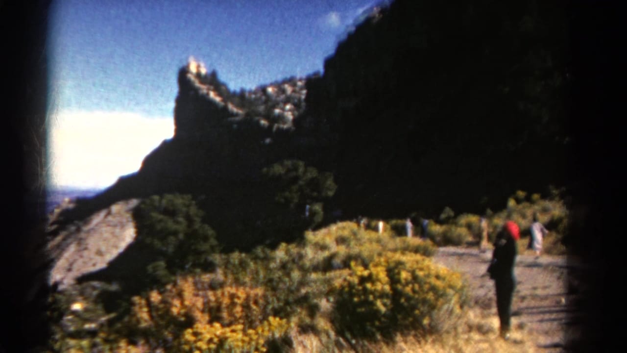 Mountain trail with yellow wildflowers, rock formations, and several walkers in the distance.