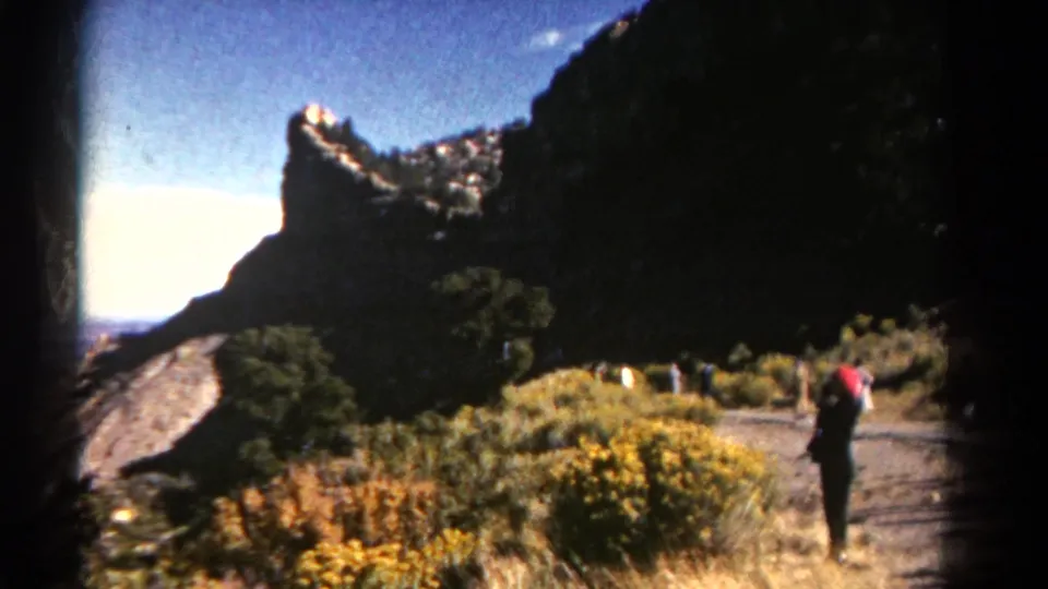 Home-movie frame from Colorado showing a scenic mountain path with visitors, brush, and yellow flowers.