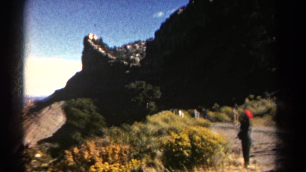 1967 Colorado 8mm frame showing a visitor in a red cap on a path amid shrubs, yellow wildflowers, and a dark rocky cliff.