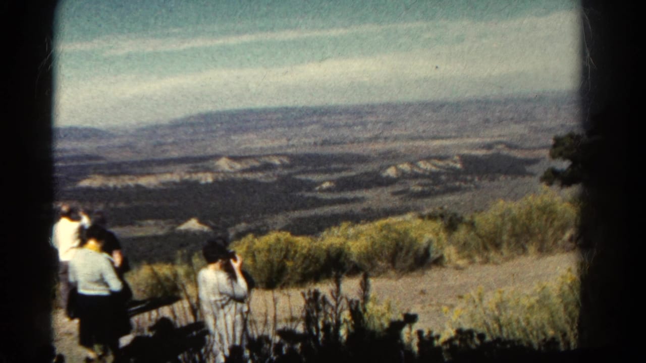 People gather near brush at an overlook with mesas and hills beyond.