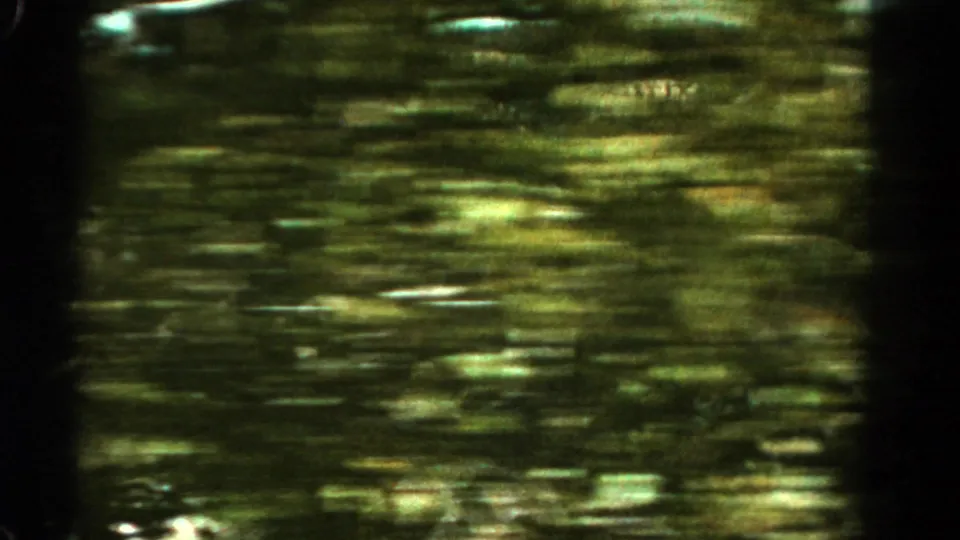 A late 8mm frame from the Colorado mountain sequence, dominated by blurred trees, green terrain, and dark gate edges.