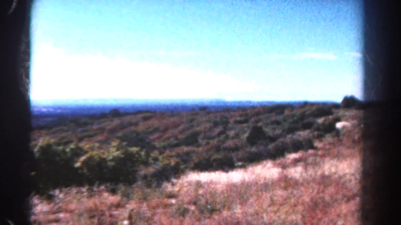Open scrubland and dry grasses under a bright blue sky with distant horizon.