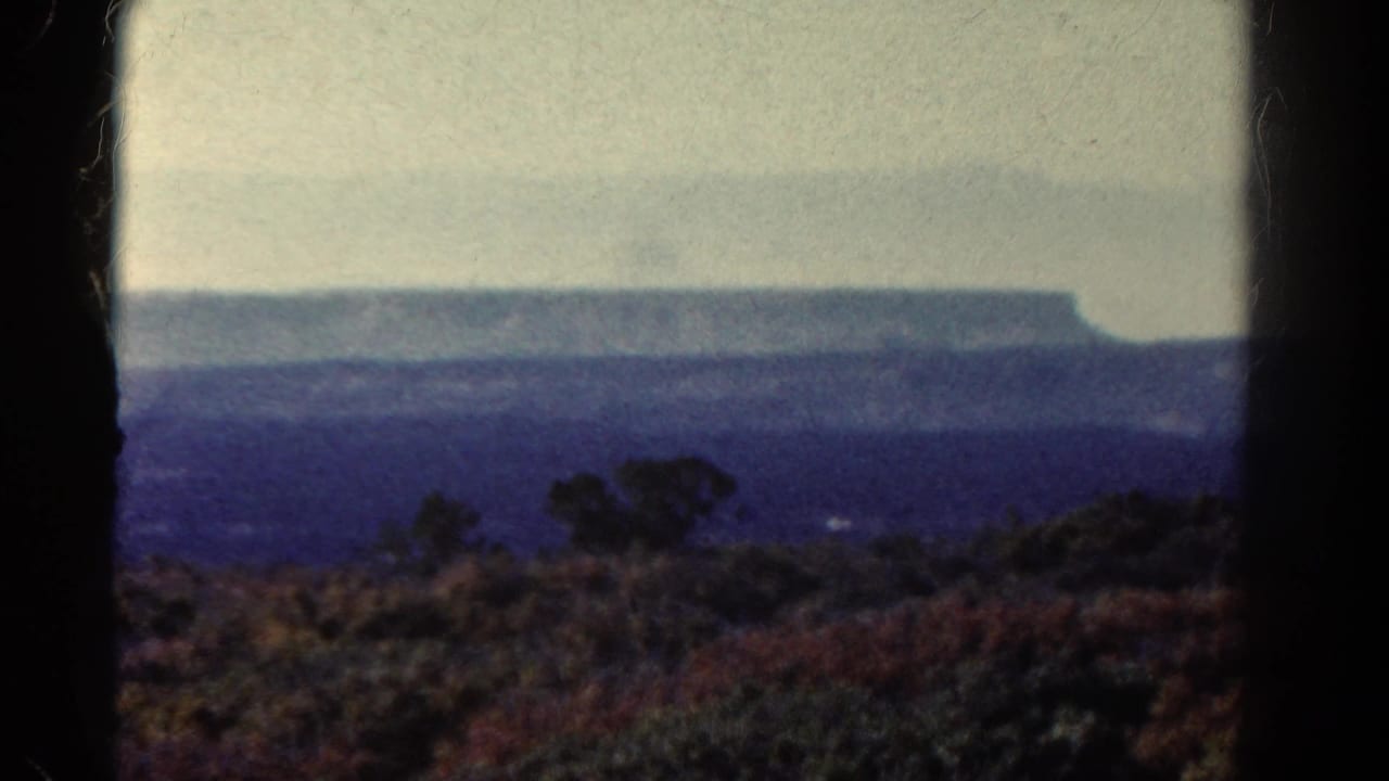 Hazy view of a flat-topped mountain beyond scrubby roadside vegetation.