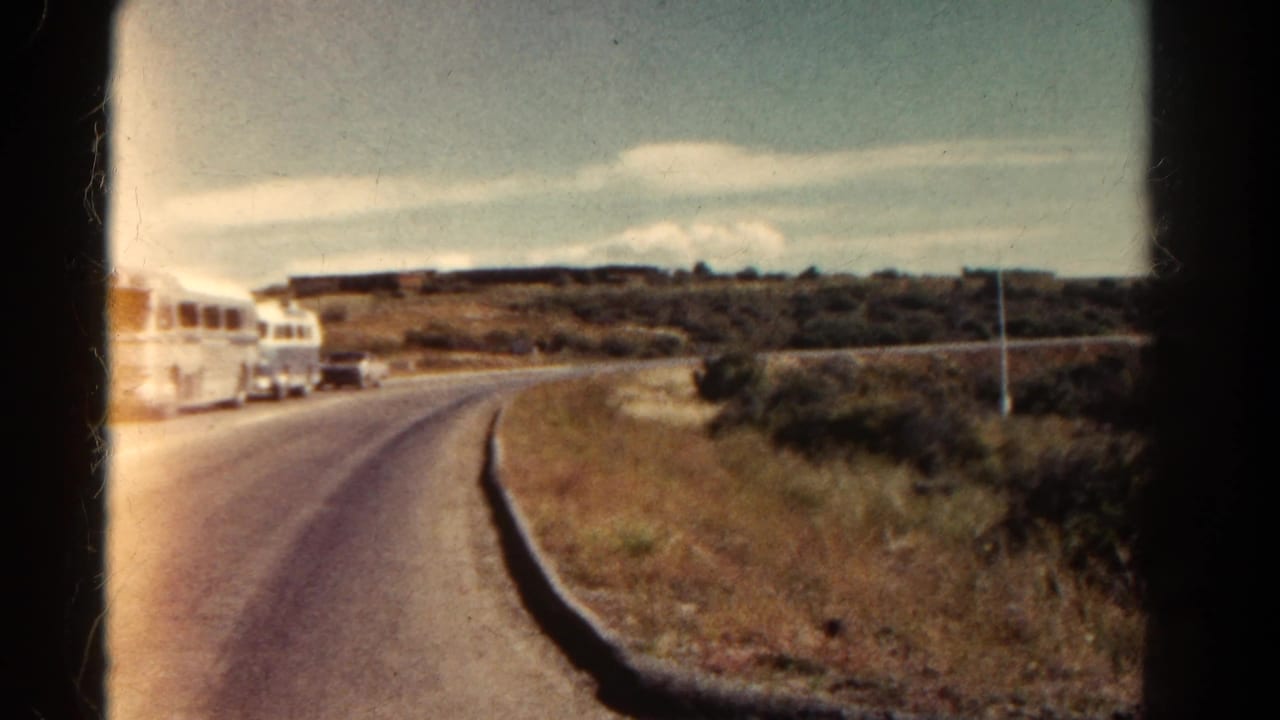 White buses parked along a curving paved road beside dry grass and shrubs.