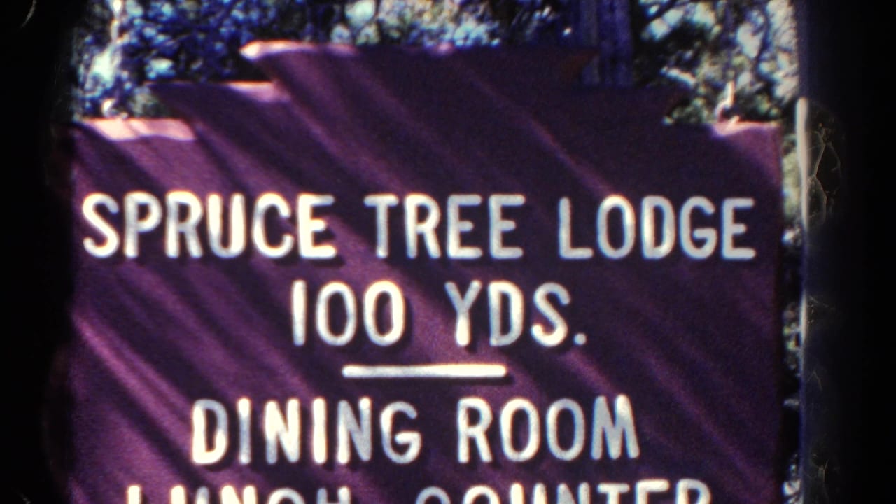 Close 1967 Colorado 8mm view of a purple Spruce Tree Lodge directional sign with white letters and trees behind it.