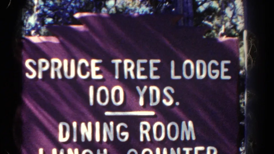 Close 1967 Colorado 8mm view of a purple Spruce Tree Lodge directional sign with white letters and trees behind it.