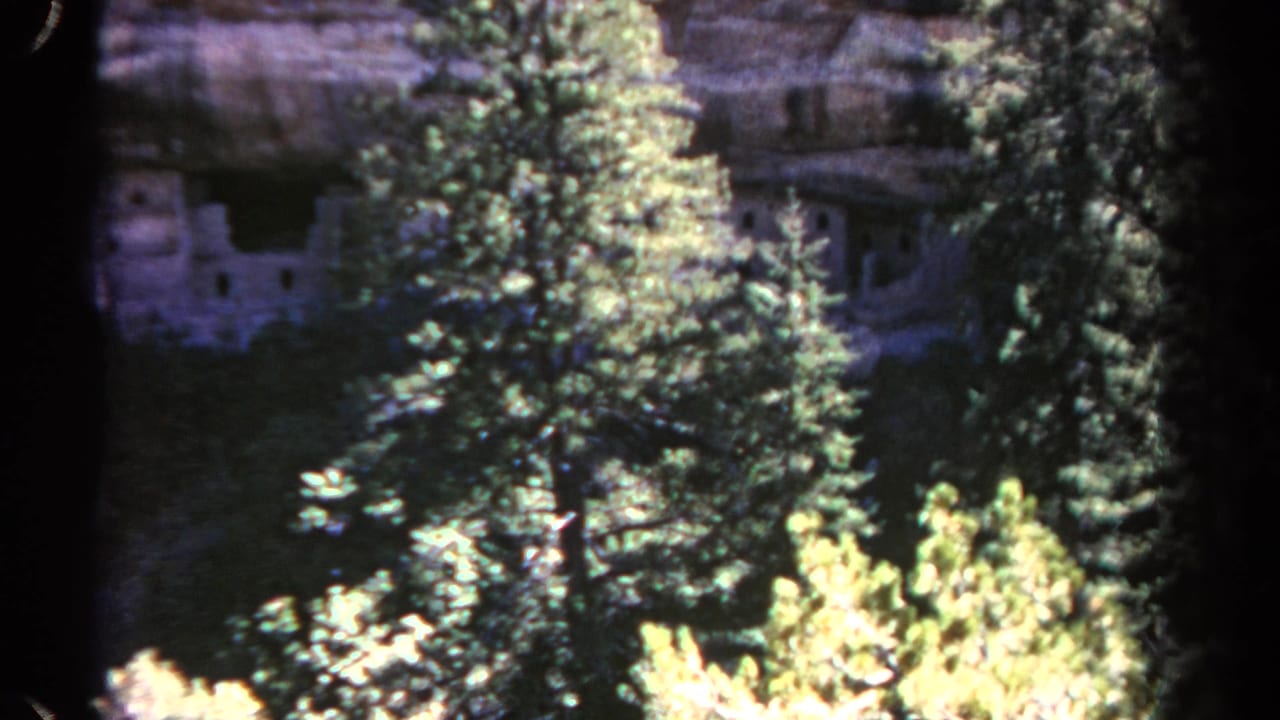 Cliff dwelling partially hidden behind evergreen trees beneath a sandstone overhang.