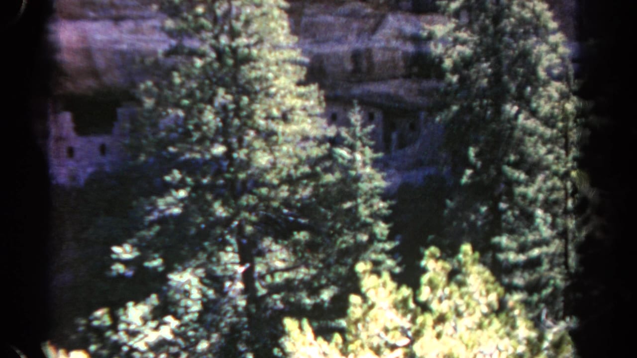 Tree-covered view toward stone ruins set into a shaded cliff alcove.