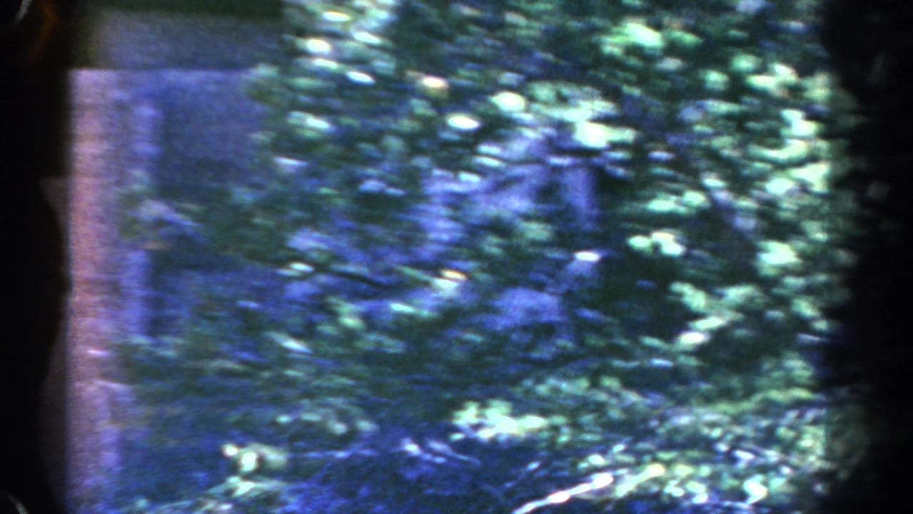 Dense trees and leaves obscure a rocky cliff area in soft handheld focus.