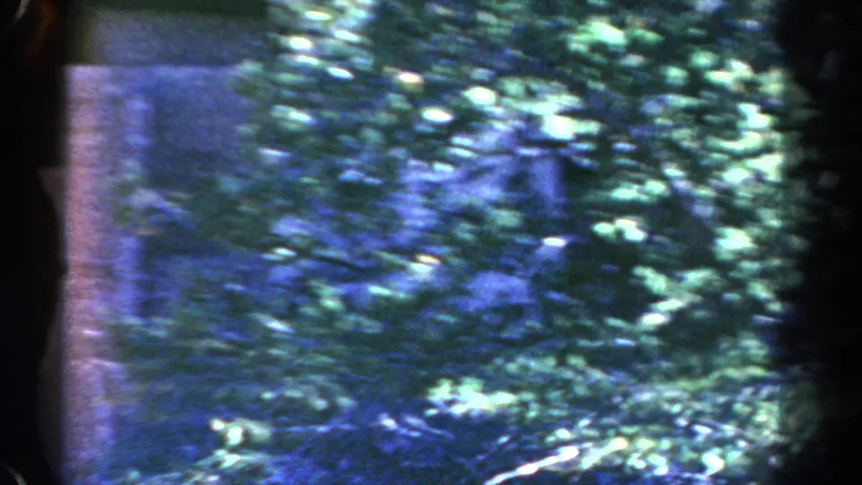 1967 Colorado 8mm frame with dense foliage and branches obscuring a rocky cliff area near the ruins, rendered in soft focus and cool color shifts.